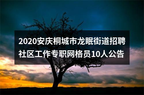 2020安庆桐城市龙眠街道招聘社区工作专职网格员10人公告 图片