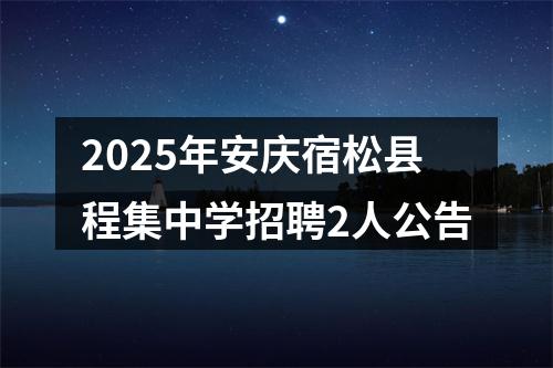 2025年安庆宿松县程集中学招聘2人公告 图片
