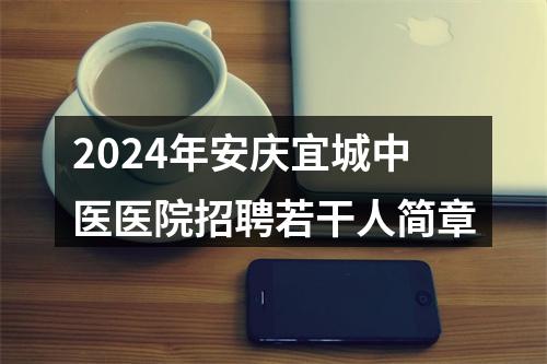 2024年安庆宜城中医医院招聘若干人简章 图片