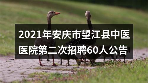 2021年安庆市望江县中医医院第二次招聘60人公告 图片