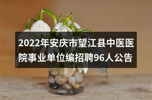 2022年安庆市望江县中医医院事业单位编招聘96人公告 图片
