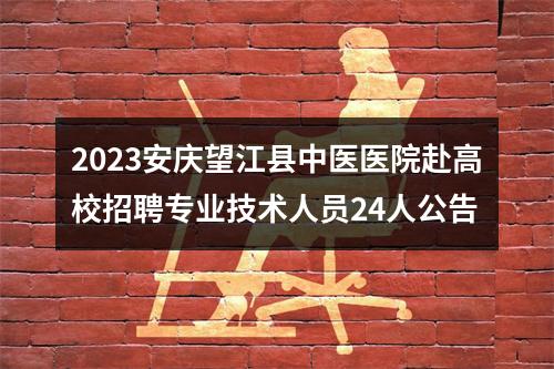 2023安庆望江县中医医院赴高校招聘专业技术人员24人公告 图片