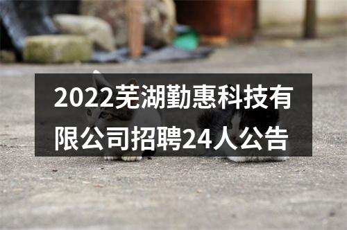 2022芜湖勤惠科技有限公司招聘24人公告 图片