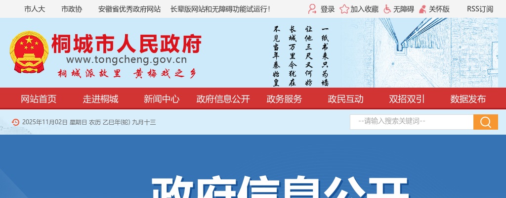 2025年安庆桐城市“事编企用”人才引进12名公告 图片