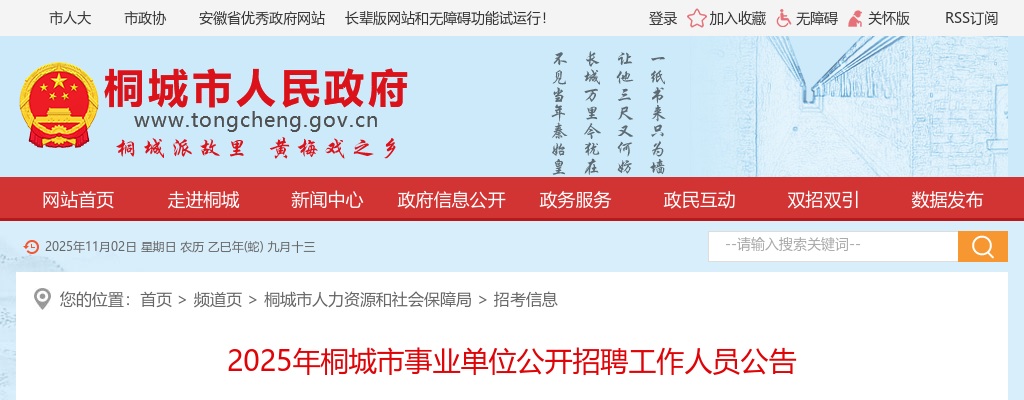 2025年桐城市事业单位公开招聘工作人员58名公告 图片