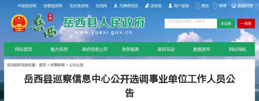 2024岳西县巡察信息中心公开选调事业单位工作人员2人公告 图片