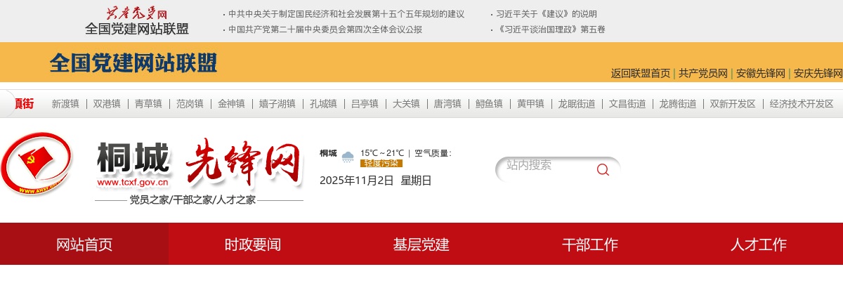 2022安徽安庆市桐城市委组织部选调工作人员拟选调人选公示 图片